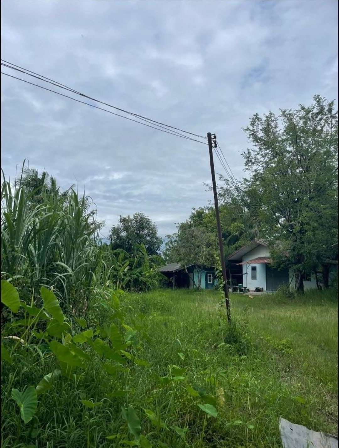 ประกาศฟรี! ซื้อ-ขาย-เช่า คอนโด บ้าน ทาวน์โฮม ที่ดิน และพื้นที่เชิงพาณิชย์ทั่วประเทศไทย ทุกทำเล ทุกงบประมาณ ไม่มีค่าใช้จ่าย ลงง่าย ขายไว เข้าถึงผู้ซื้อโดยตรง 4 178584pic3.jpg