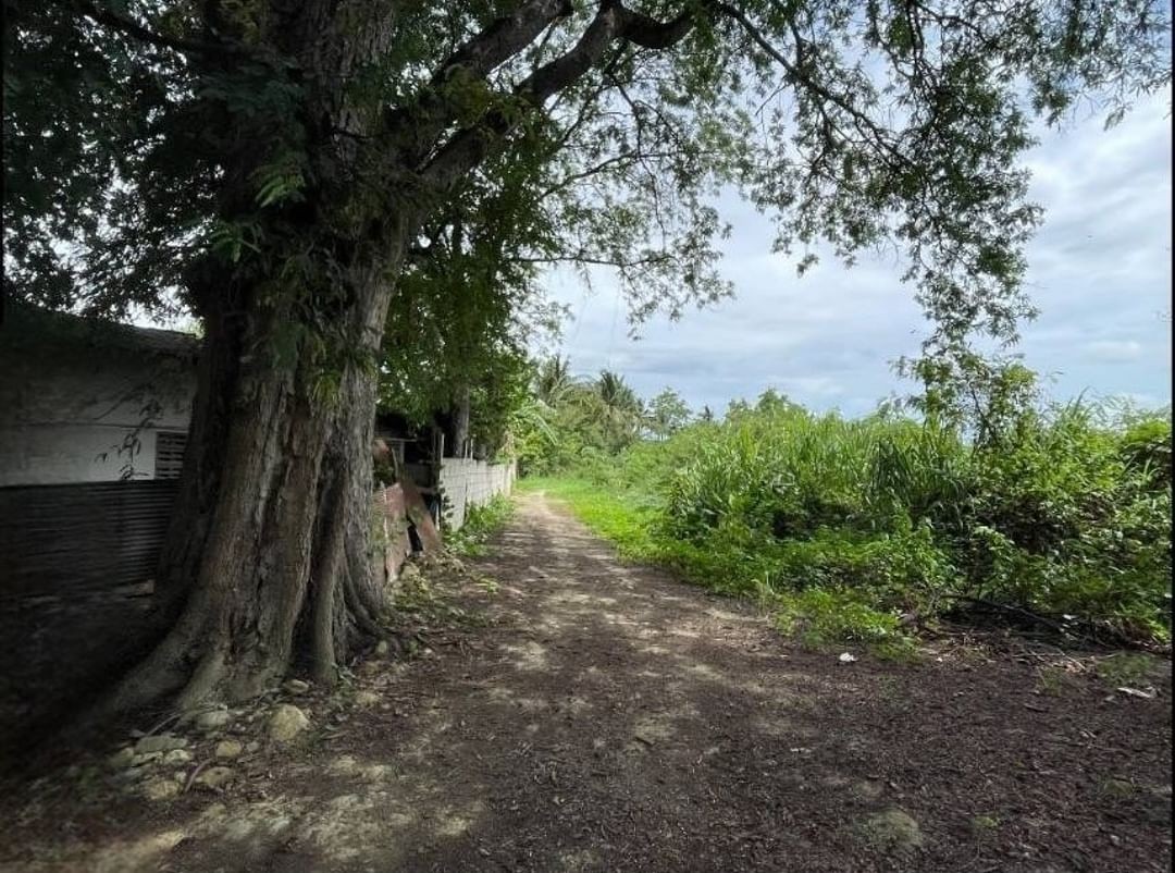 ประกาศฟรี! ซื้อ-ขาย-เช่า คอนโด บ้าน ทาวน์โฮม ที่ดิน และพื้นที่เชิงพาณิชย์ทั่วประเทศไทย ทุกทำเล ทุกงบประมาณ ไม่มีค่าใช้จ่าย ลงง่าย ขายไว เข้าถึงผู้ซื้อโดยตรง 5 178584pic4.jpg