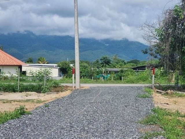 ประกาศฟรี! ซื้อ-ขาย-เช่า คอนโด บ้าน ทาวน์โฮม ที่ดิน และพื้นที่เชิงพาณิชย์ทั่วประเทศไทย ทุกทำเล ทุกงบประมาณ ไม่มีค่าใช้จ่าย ลงง่าย ขายไว เข้าถึงผู้ซื้อโดยตรง 3 178632pic2.jpg