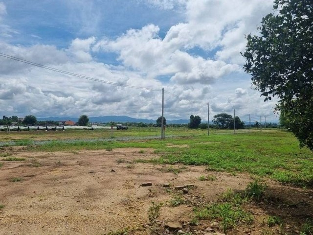 ประกาศฟรี! ซื้อ-ขาย-เช่า คอนโด บ้าน ทาวน์โฮม ที่ดิน และพื้นที่เชิงพาณิชย์ทั่วประเทศไทย ทุกทำเล ทุกงบประมาณ ไม่มีค่าใช้จ่าย ลงง่าย ขายไว เข้าถึงผู้ซื้อโดยตรง 5 178632pic4.jpg