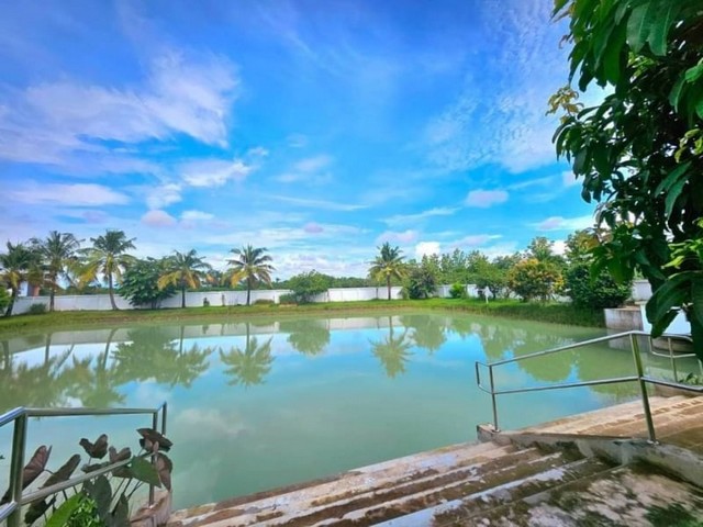 ประกาศฟรี! ซื้อ-ขาย-เช่า คอนโด บ้าน ทาวน์โฮม ที่ดิน และพื้นที่เชิงพาณิชย์ทั่วประเทศไทย ทุกทำเล ทุกงบประมาณ ไม่มีค่าใช้จ่าย ลงง่าย ขายไว เข้าถึงผู้ซื้อโดยตรง 2 178624pic1.jpg