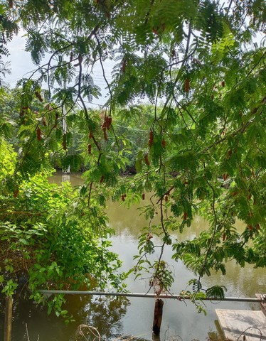 ประกาศฟรี! ซื้อ-ขาย-เช่า คอนโด บ้าน ทาวน์โฮม ที่ดิน และพื้นที่เชิงพาณิชย์ทั่วประเทศไทย ทุกทำเล ทุกงบประมาณ ไม่มีค่าใช้จ่าย ลงง่าย ขายไว เข้าถึงผู้ซื้อโดยตรง 3 30345pic2.jpg