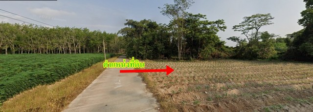 ประกาศฟรี! ซื้อ-ขาย-เช่า คอนโด บ้าน ทาวน์โฮม ที่ดิน และพื้นที่เชิงพาณิชย์ทั่วประเทศไทย ทุกทำเล ทุกงบประมาณ ไม่มีค่าใช้จ่าย ลงง่าย ขายไว เข้าถึงผู้ซื้อโดยตรง 3 23928pic2.jpg