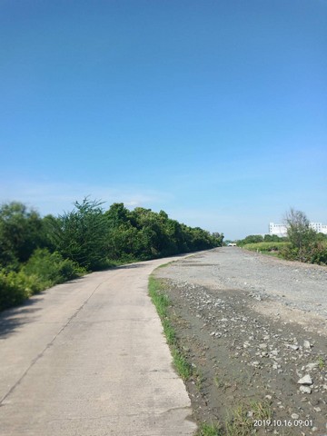 ประกาศฟรี! ซื้อ-ขาย-เช่า คอนโด บ้าน ทาวน์โฮม ที่ดิน และพื้นที่เชิงพาณิชย์ทั่วประเทศไทย ทุกทำเล ทุกงบประมาณ ไม่มีค่าใช้จ่าย ลงง่าย ขายไว เข้าถึงผู้ซื้อโดยตรง 2 13957pic1.jpg