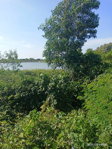 ประกาศฟรี! ซื้อ-ขาย-เช่า คอนโด บ้าน ทาวน์โฮม ที่ดิน และพื้นที่เชิงพาณิชย์ทั่วประเทศไทย ทุกทำเล ทุกงบประมาณ ไม่มีค่าใช้จ่าย ลงง่าย ขายไว เข้าถึงผู้ซื้อโดยตรง 5 13957pic4.jpg