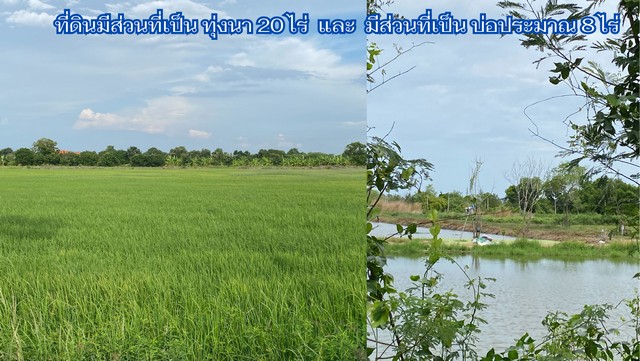 ประกาศฟรี! ซื้อ-ขาย-เช่า คอนโด บ้าน ทาวน์โฮม ที่ดิน และพื้นที่เชิงพาณิชย์ทั่วประเทศไทย ทุกทำเล ทุกงบประมาณ ไม่มีค่าใช้จ่าย ลงง่าย ขายไว เข้าถึงผู้ซื้อโดยตรง 5 7450pic4.jpg