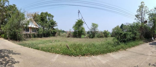 ประกาศฟรี! ซื้อ-ขาย-เช่า คอนโด บ้าน ทาวน์โฮม ที่ดิน และพื้นที่เชิงพาณิชย์ทั่วประเทศไทย ทุกทำเล ทุกงบประมาณ ไม่มีค่าใช้จ่าย ลงง่าย ขายไว เข้าถึงผู้ซื้อโดยตรง 2 178706pic1.jpg