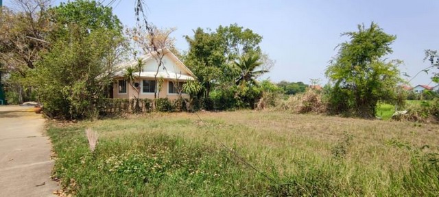 ประกาศฟรี! ซื้อ-ขาย-เช่า คอนโด บ้าน ทาวน์โฮม ที่ดิน และพื้นที่เชิงพาณิชย์ทั่วประเทศไทย ทุกทำเล ทุกงบประมาณ ไม่มีค่าใช้จ่าย ลงง่าย ขายไว เข้าถึงผู้ซื้อโดยตรง 4 178706pic3.jpg