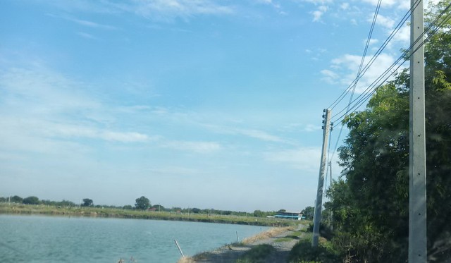 ประกาศฟรี! ซื้อ-ขาย-เช่า คอนโด บ้าน ทาวน์โฮม ที่ดิน และพื้นที่เชิงพาณิชย์ทั่วประเทศไทย ทุกทำเล ทุกงบประมาณ ไม่มีค่าใช้จ่าย ลงง่าย ขายไว เข้าถึงผู้ซื้อโดยตรง 2 14179pic1.jpg