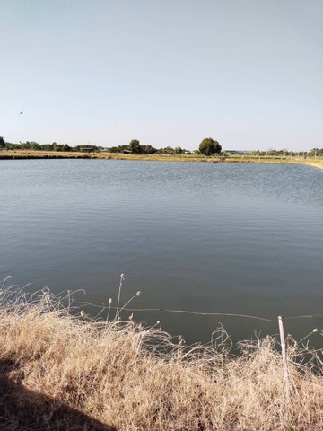 ประกาศฟรี! ซื้อ-ขาย-เช่า คอนโด บ้าน ทาวน์โฮม ที่ดิน และพื้นที่เชิงพาณิชย์ทั่วประเทศไทย ทุกทำเล ทุกงบประมาณ ไม่มีค่าใช้จ่าย ลงง่าย ขายไว เข้าถึงผู้ซื้อโดยตรง 3 14179pic2.jpg