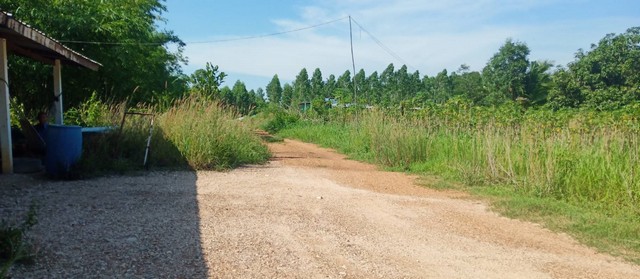 ประกาศฟรี! ซื้อ-ขาย-เช่า คอนโด บ้าน ทาวน์โฮม ที่ดิน และพื้นที่เชิงพาณิชย์ทั่วประเทศไทย ทุกทำเล ทุกงบประมาณ ไม่มีค่าใช้จ่าย ลงง่าย ขายไว เข้าถึงผู้ซื้อโดยตรง 4 7916pic3.jpg