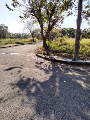 ประกาศฟรี! ซื้อ-ขาย-เช่า คอนโด บ้าน ทาวน์โฮม ที่ดิน และพื้นที่เชิงพาณิชย์ทั่วประเทศไทย ทุกทำเล ทุกงบประมาณ ไม่มีค่าใช้จ่าย ลงง่าย ขายไว เข้าถึงผู้ซื้อโดยตรง 5 7380pic4.jpg