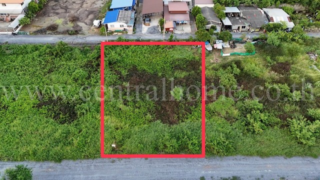 ประกาศฟรี! ซื้อ-ขาย-เช่า คอนโด บ้าน ทาวน์โฮม ที่ดิน และพื้นที่เชิงพาณิชย์ทั่วประเทศไทย ทุกทำเล ทุกงบประมาณ ไม่มีค่าใช้จ่าย ลงง่าย ขายไว เข้าถึงผู้ซื้อโดยตรง 3 277080pic2.jpg