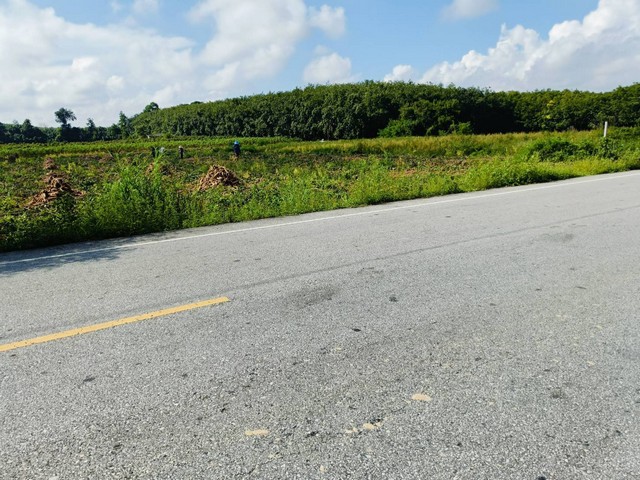 ประกาศฟรี! ซื้อ-ขาย-เช่า คอนโด บ้าน ทาวน์โฮม ที่ดิน และพื้นที่เชิงพาณิชย์ทั่วประเทศไทย ทุกทำเล ทุกงบประมาณ ไม่มีค่าใช้จ่าย ลงง่าย ขายไว เข้าถึงผู้ซื้อโดยตรง 3 178805pic2.jpg