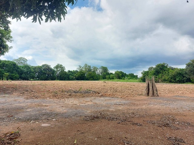 ประกาศฟรี! ซื้อ-ขาย-เช่า คอนโด บ้าน ทาวน์โฮม ที่ดิน และพื้นที่เชิงพาณิชย์ทั่วประเทศไทย ทุกทำเล ทุกงบประมาณ ไม่มีค่าใช้จ่าย ลงง่าย ขายไว เข้าถึงผู้ซื้อโดยตรง 2 178803pic1.jpg