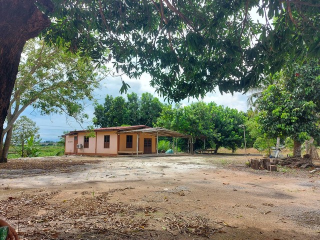 ประกาศฟรี! ซื้อ-ขาย-เช่า คอนโด บ้าน ทาวน์โฮม ที่ดิน และพื้นที่เชิงพาณิชย์ทั่วประเทศไทย ทุกทำเล ทุกงบประมาณ ไม่มีค่าใช้จ่าย ลงง่าย ขายไว เข้าถึงผู้ซื้อโดยตรง 3 178803pic2.jpg