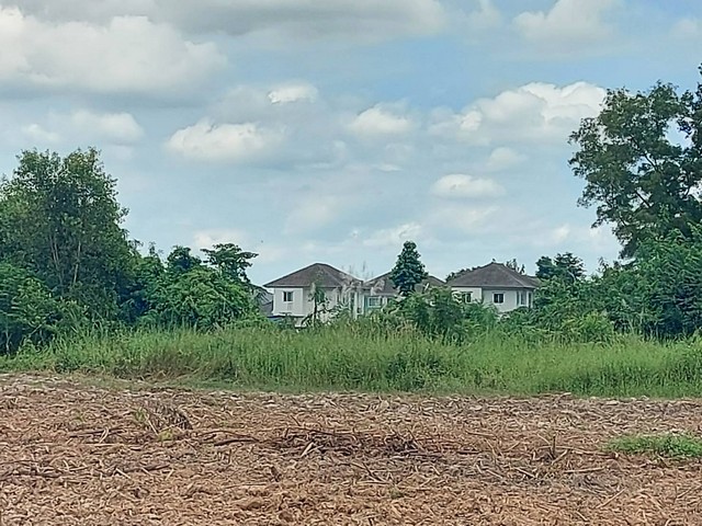 ประกาศฟรี! ซื้อ-ขาย-เช่า คอนโด บ้าน ทาวน์โฮม ที่ดิน และพื้นที่เชิงพาณิชย์ทั่วประเทศไทย ทุกทำเล ทุกงบประมาณ ไม่มีค่าใช้จ่าย ลงง่าย ขายไว เข้าถึงผู้ซื้อโดยตรง 4 178803pic3.jpg