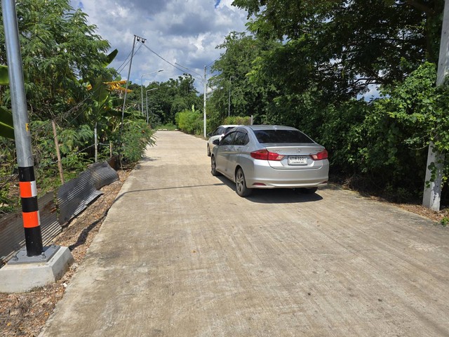 ประกาศฟรี! ซื้อ-ขาย-เช่า คอนโด บ้าน ทาวน์โฮม ที่ดิน และพื้นที่เชิงพาณิชย์ทั่วประเทศไทย ทุกทำเล ทุกงบประมาณ ไม่มีค่าใช้จ่าย ลงง่าย ขายไว เข้าถึงผู้ซื้อโดยตรง 5 178803pic4.jpg