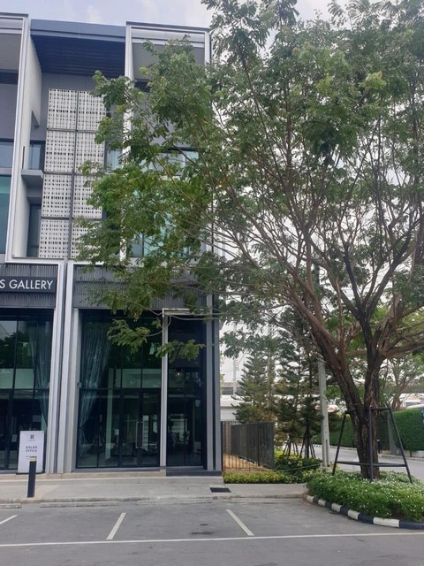 ประกาศฟรี! ซื้อ-ขาย-เช่า คอนโด บ้าน ทาวน์โฮม ที่ดิน และพื้นที่เชิงพาณิชย์ทั่วประเทศไทย ทุกทำเล ทุกงบประมาณ ไม่มีค่าใช้จ่าย ลงง่าย ขายไว เข้าถึงผู้ซื้อโดยตรง 2 480281pic1.jpg