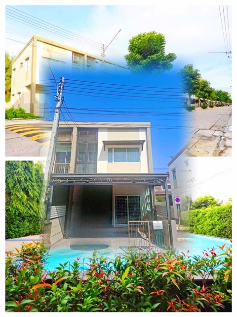 ประกาศฟรี! ซื้อ-ขาย-เช่า คอนโด บ้าน ทาวน์โฮม ที่ดิน และพื้นที่เชิงพาณิชย์ทั่วประเทศไทย ทุกทำเล ทุกงบประมาณ ไม่มีค่าใช้จ่าย ลงง่าย ขายไว เข้าถึงผู้ซื้อโดยตรง 2 178848pic1.jpg