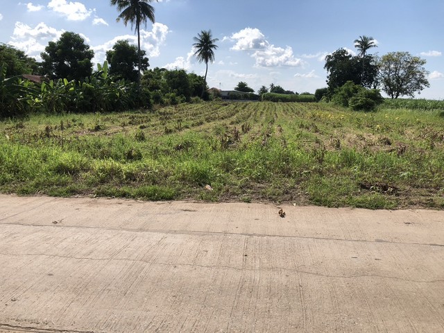 ประกาศฟรี! ซื้อ-ขาย-เช่า คอนโด บ้าน ทาวน์โฮม ที่ดิน และพื้นที่เชิงพาณิชย์ทั่วประเทศไทย ทุกทำเล ทุกงบประมาณ ไม่มีค่าใช้จ่าย ลงง่าย ขายไว เข้าถึงผู้ซื้อโดยตรง 2 279772pic1.jpg