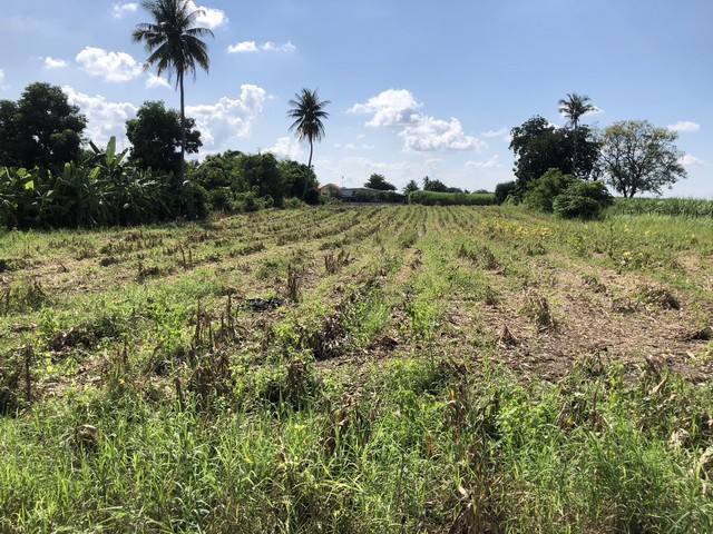 ประกาศฟรี! ซื้อ-ขาย-เช่า คอนโด บ้าน ทาวน์โฮม ที่ดิน และพื้นที่เชิงพาณิชย์ทั่วประเทศไทย ทุกทำเล ทุกงบประมาณ ไม่มีค่าใช้จ่าย ลงง่าย ขายไว เข้าถึงผู้ซื้อโดยตรง 3 279772pic2.jpg