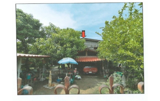 ประกาศฟรี! ซื้อ-ขาย-เช่า คอนโด บ้าน ทาวน์โฮม ที่ดิน และพื้นที่เชิงพาณิชย์ทั่วประเทศไทย ทุกทำเล ทุกงบประมาณ ไม่มีค่าใช้จ่าย ลงง่าย ขายไว เข้าถึงผู้ซื้อโดยตรง 2 179678pic1.jpg