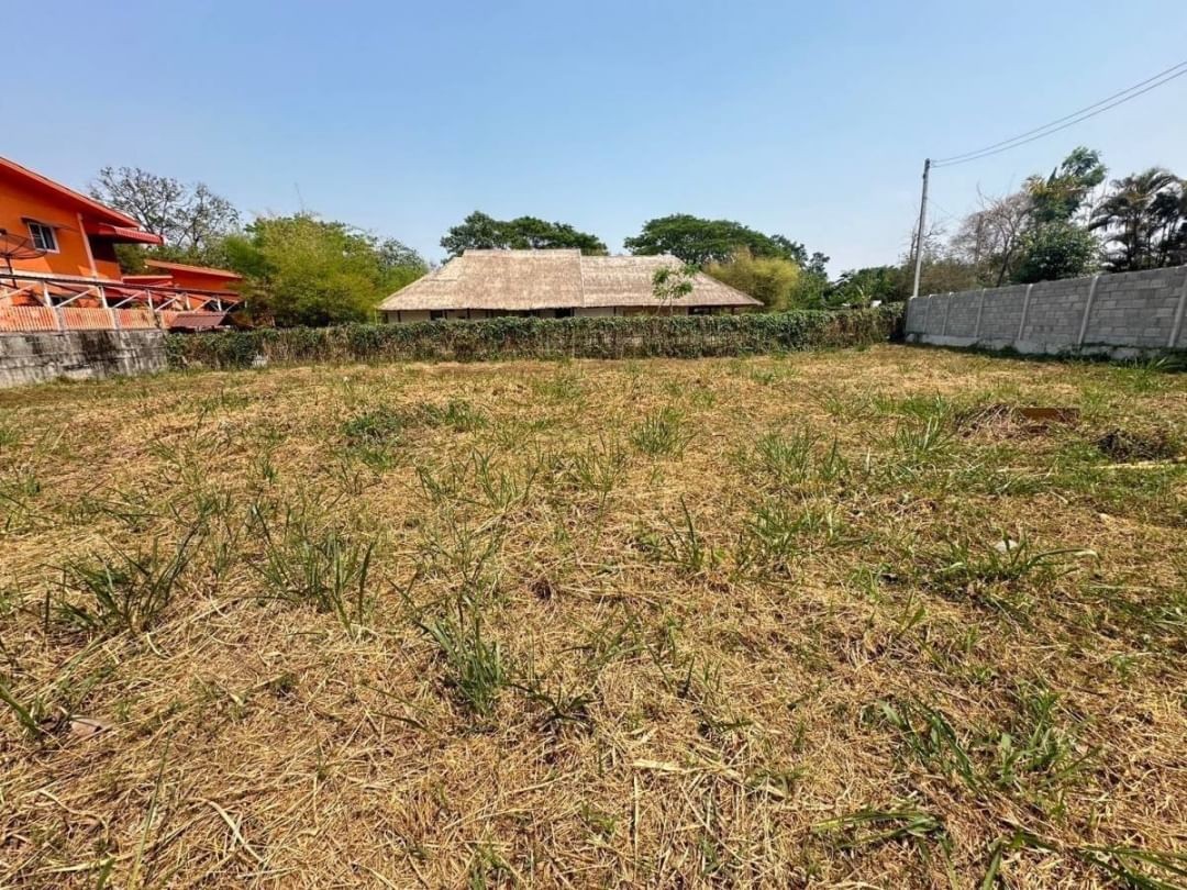 ประกาศฟรี! ซื้อ-ขาย-เช่า คอนโด บ้าน ทาวน์โฮม ที่ดิน และพื้นที่เชิงพาณิชย์ทั่วประเทศไทย ทุกทำเล ทุกงบประมาณ ไม่มีค่าใช้จ่าย ลงง่าย ขายไว เข้าถึงผู้ซื้อโดยตรง 3 179731pic2.jpg