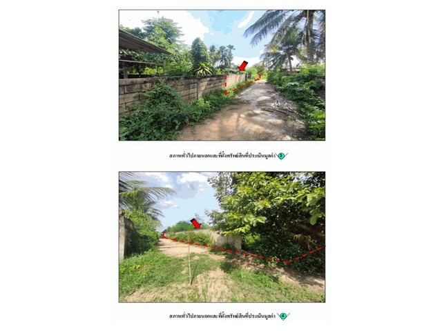 ประกาศฟรี! ซื้อ-ขาย-เช่า คอนโด บ้าน ทาวน์โฮม ที่ดิน และพื้นที่เชิงพาณิชย์ทั่วประเทศไทย ทุกทำเล ทุกงบประมาณ ไม่มีค่าใช้จ่าย ลงง่าย ขายไว เข้าถึงผู้ซื้อโดยตรง 3 179669pic2.jpg