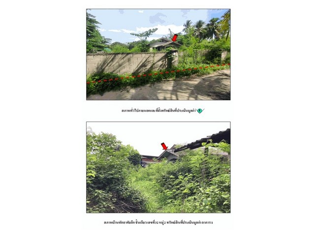 ประกาศฟรี! ซื้อ-ขาย-เช่า คอนโด บ้าน ทาวน์โฮม ที่ดิน และพื้นที่เชิงพาณิชย์ทั่วประเทศไทย ทุกทำเล ทุกงบประมาณ ไม่มีค่าใช้จ่าย ลงง่าย ขายไว เข้าถึงผู้ซื้อโดยตรง 4 179669pic3.jpg