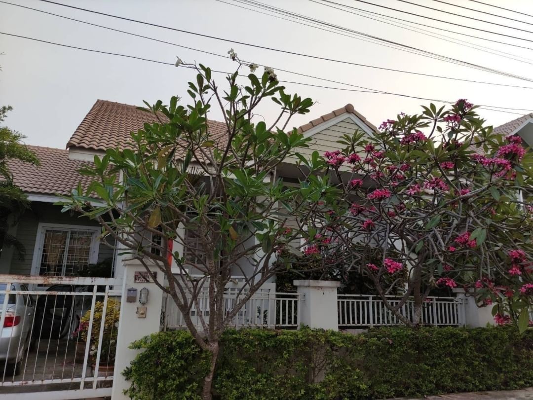 ประกาศฟรี! ซื้อ-ขาย-เช่า คอนโด บ้าน ทาวน์โฮม ที่ดิน และพื้นที่เชิงพาณิชย์ทั่วประเทศไทย ทุกทำเล ทุกงบประมาณ ไม่มีค่าใช้จ่าย ลงง่าย ขายไว เข้าถึงผู้ซื้อโดยตรง 2 179726pic1.jpg