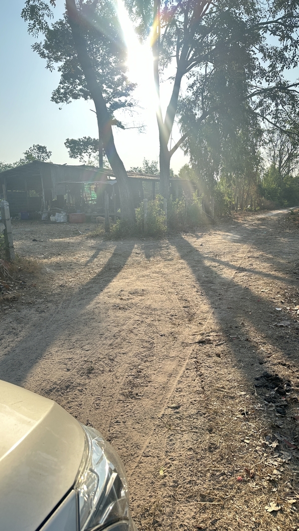 ประกาศฟรี! ซื้อ-ขาย-เช่า คอนโด บ้าน ทาวน์โฮม ที่ดิน และพื้นที่เชิงพาณิชย์ทั่วประเทศไทย ทุกทำเล ทุกงบประมาณ ไม่มีค่าใช้จ่าย ลงง่าย ขายไว เข้าถึงผู้ซื้อโดยตรง 4 480890pic3.jpg