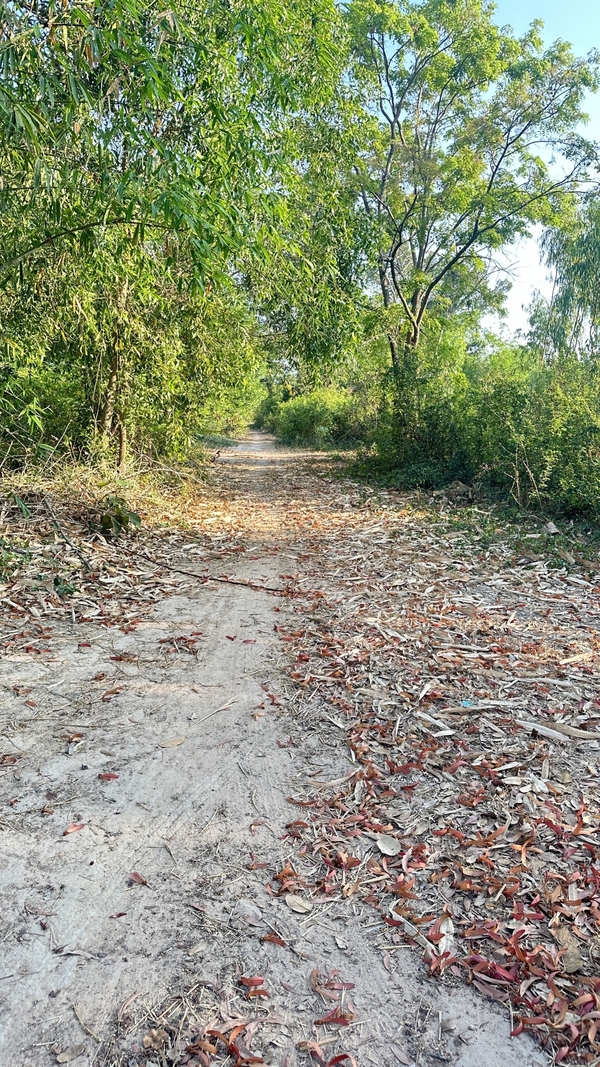 ประกาศฟรี! ซื้อ-ขาย-เช่า คอนโด บ้าน ทาวน์โฮม ที่ดิน และพื้นที่เชิงพาณิชย์ทั่วประเทศไทย ทุกทำเล ทุกงบประมาณ ไม่มีค่าใช้จ่าย ลงง่าย ขายไว เข้าถึงผู้ซื้อโดยตรง 5 480890pic4.jpg