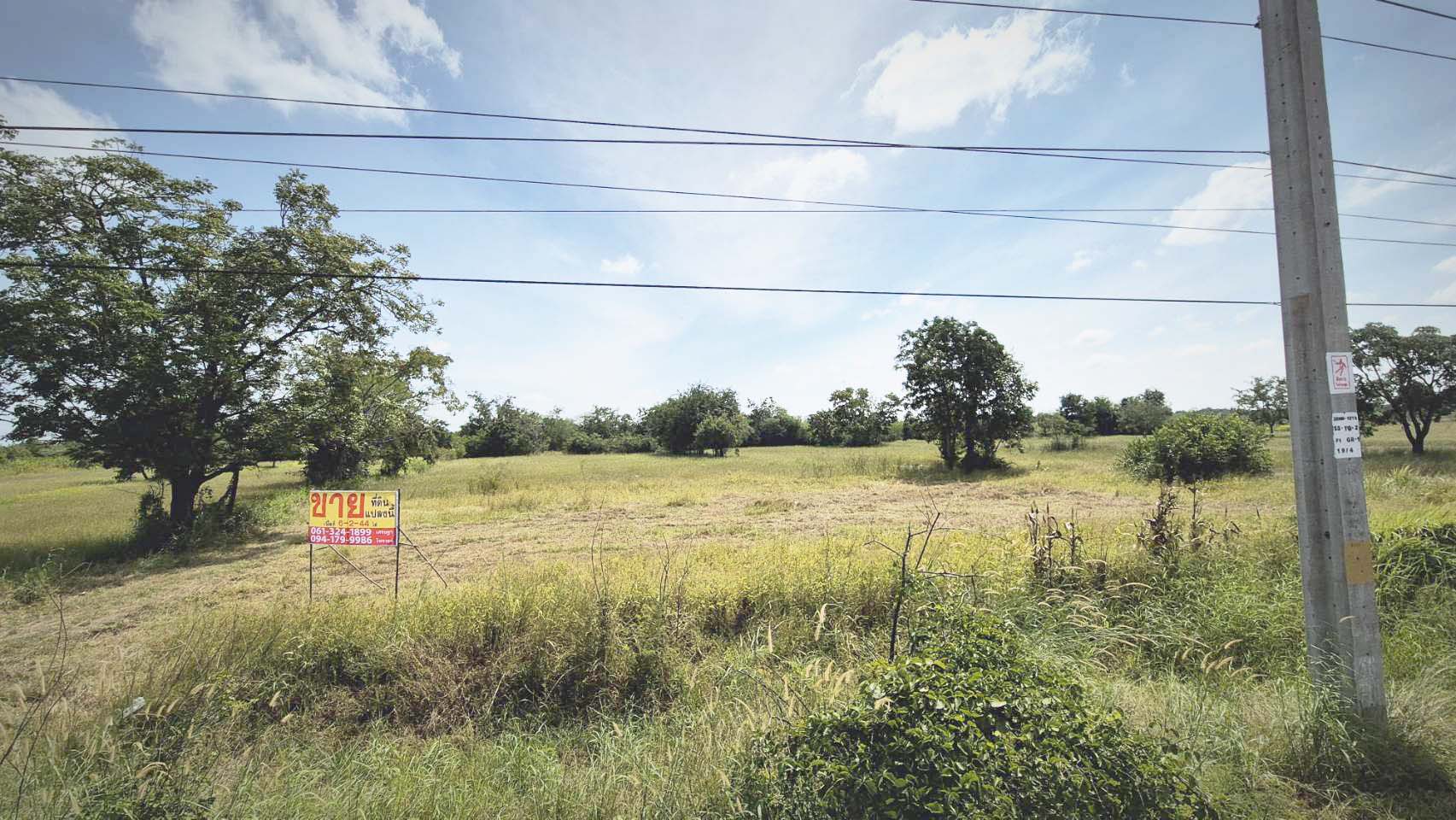 ประกาศฟรี! ซื้อ-ขาย-เช่า คอนโด บ้าน ทาวน์โฮม ที่ดิน และพื้นที่เชิงพาณิชย์ทั่วประเทศไทย ทุกทำเล ทุกงบประมาณ ไม่มีค่าใช้จ่าย ลงง่าย ขายไว เข้าถึงผู้ซื้อโดยตรง 2 279578pic1.jpg