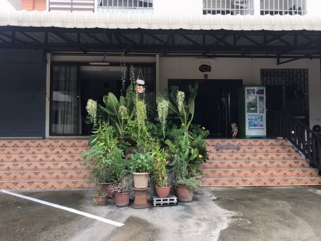 ประกาศฟรี! ซื้อ-ขาย-เช่า คอนโด บ้าน ทาวน์โฮม ที่ดิน และพื้นที่เชิงพาณิชย์ทั่วประเทศไทย ทุกทำเล ทุกงบประมาณ ไม่มีค่าใช้จ่าย ลงง่าย ขายไว เข้าถึงผู้ซื้อโดยตรง 3 179813pic2.jpg