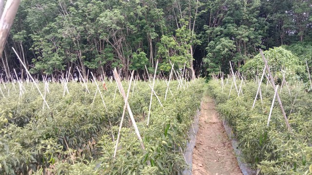 ประกาศฟรี! ซื้อ-ขาย-เช่า คอนโด บ้าน ทาวน์โฮม ที่ดิน และพื้นที่เชิงพาณิชย์ทั่วประเทศไทย ทุกทำเล ทุกงบประมาณ ไม่มีค่าใช้จ่าย ลงง่าย ขายไว เข้าถึงผู้ซื้อโดยตรง 2 7402pic1.jpg