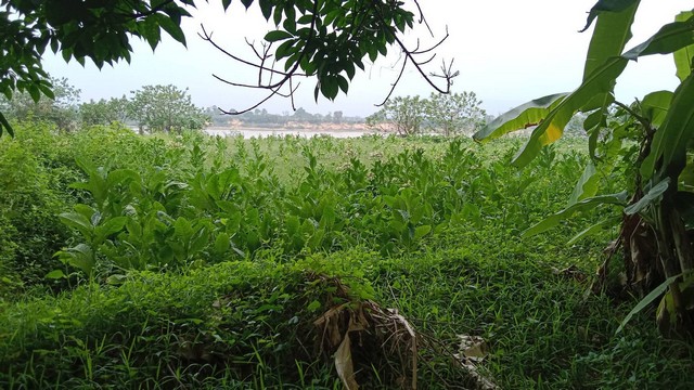 ประกาศฟรี! ซื้อ-ขาย-เช่า คอนโด บ้าน ทาวน์โฮม ที่ดิน และพื้นที่เชิงพาณิชย์ทั่วประเทศไทย ทุกทำเล ทุกงบประมาณ ไม่มีค่าใช้จ่าย ลงง่าย ขายไว เข้าถึงผู้ซื้อโดยตรง 3 7402pic2.jpg