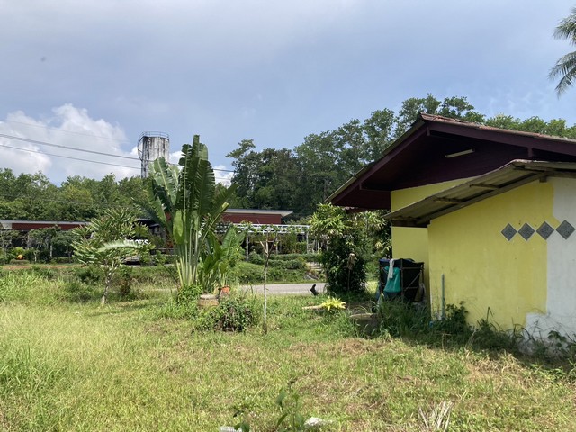 ประกาศฟรี! ซื้อ-ขาย-เช่า คอนโด บ้าน ทาวน์โฮม ที่ดิน และพื้นที่เชิงพาณิชย์ทั่วประเทศไทย ทุกทำเล ทุกงบประมาณ ไม่มีค่าใช้จ่าย ลงง่าย ขายไว เข้าถึงผู้ซื้อโดยตรง 3 7385pic2.jpg