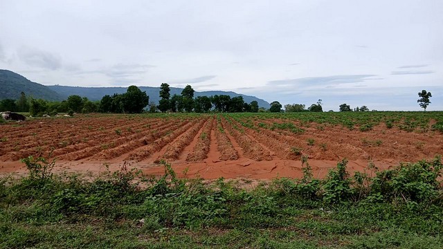 ประกาศฟรี! ซื้อ-ขาย-เช่า คอนโด บ้าน ทาวน์โฮม ที่ดิน และพื้นที่เชิงพาณิชย์ทั่วประเทศไทย ทุกทำเล ทุกงบประมาณ ไม่มีค่าใช้จ่าย ลงง่าย ขายไว เข้าถึงผู้ซื้อโดยตรง 2 7383pic1.jpg