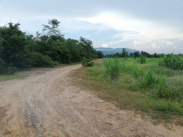 ประกาศฟรี! ซื้อ-ขาย-เช่า คอนโด บ้าน ทาวน์โฮม ที่ดิน และพื้นที่เชิงพาณิชย์ทั่วประเทศไทย ทุกทำเล ทุกงบประมาณ ไม่มีค่าใช้จ่าย ลงง่าย ขายไว เข้าถึงผู้ซื้อโดยตรง 3 7383pic2.jpg