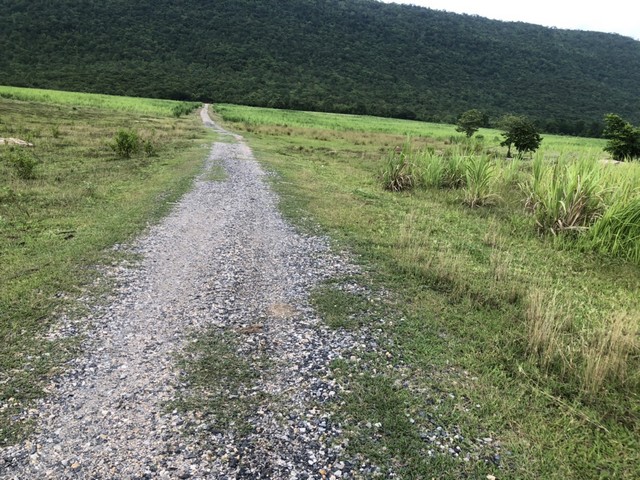 ประกาศฟรี! ซื้อ-ขาย-เช่า คอนโด บ้าน ทาวน์โฮม ที่ดิน และพื้นที่เชิงพาณิชย์ทั่วประเทศไทย ทุกทำเล ทุกงบประมาณ ไม่มีค่าใช้จ่าย ลงง่าย ขายไว เข้าถึงผู้ซื้อโดยตรง 5 7383pic4.jpg