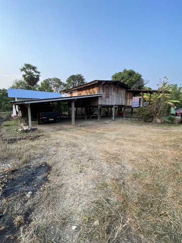 ประกาศฟรี! ซื้อ-ขาย-เช่า คอนโด บ้าน ทาวน์โฮม ที่ดิน และพื้นที่เชิงพาณิชย์ทั่วประเทศไทย ทุกทำเล ทุกงบประมาณ ไม่มีค่าใช้จ่าย ลงง่าย ขายไว เข้าถึงผู้ซื้อโดยตรง 3 7372pic2.jpg