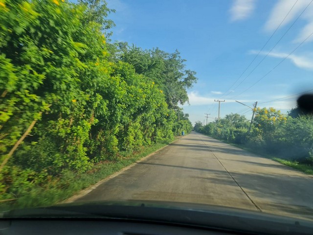 ประกาศฟรี! ซื้อ-ขาย-เช่า คอนโด บ้าน ทาวน์โฮม ที่ดิน และพื้นที่เชิงพาณิชย์ทั่วประเทศไทย ทุกทำเล ทุกงบประมาณ ไม่มีค่าใช้จ่าย ลงง่าย ขายไว เข้าถึงผู้ซื้อโดยตรง 2 7371pic1.jpg