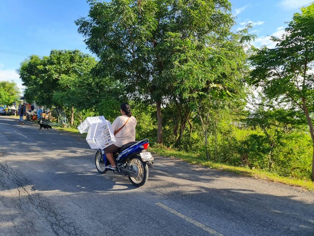 ประกาศฟรี! ซื้อ-ขาย-เช่า คอนโด บ้าน ทาวน์โฮม ที่ดิน และพื้นที่เชิงพาณิชย์ทั่วประเทศไทย ทุกทำเล ทุกงบประมาณ ไม่มีค่าใช้จ่าย ลงง่าย ขายไว เข้าถึงผู้ซื้อโดยตรง 3 7371pic2.jpg