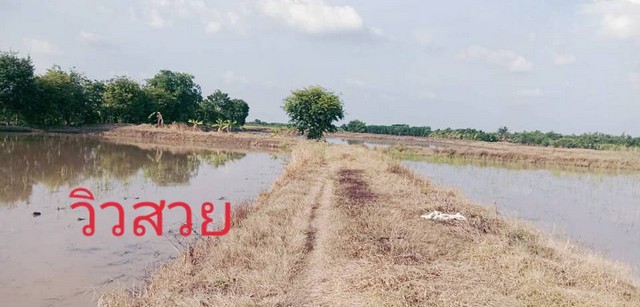 ประกาศฟรี! ซื้อ-ขาย-เช่า คอนโด บ้าน ทาวน์โฮม ที่ดิน และพื้นที่เชิงพาณิชย์ทั่วประเทศไทย ทุกทำเล ทุกงบประมาณ ไม่มีค่าใช้จ่าย ลงง่าย ขายไว เข้าถึงผู้ซื้อโดยตรง 2 7370pic1.jpg