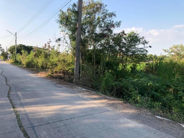 ประกาศฟรี! ซื้อ-ขาย-เช่า คอนโด บ้าน ทาวน์โฮม ที่ดิน และพื้นที่เชิงพาณิชย์ทั่วประเทศไทย ทุกทำเล ทุกงบประมาณ ไม่มีค่าใช้จ่าย ลงง่าย ขายไว เข้าถึงผู้ซื้อโดยตรง 3 7370pic2.jpg