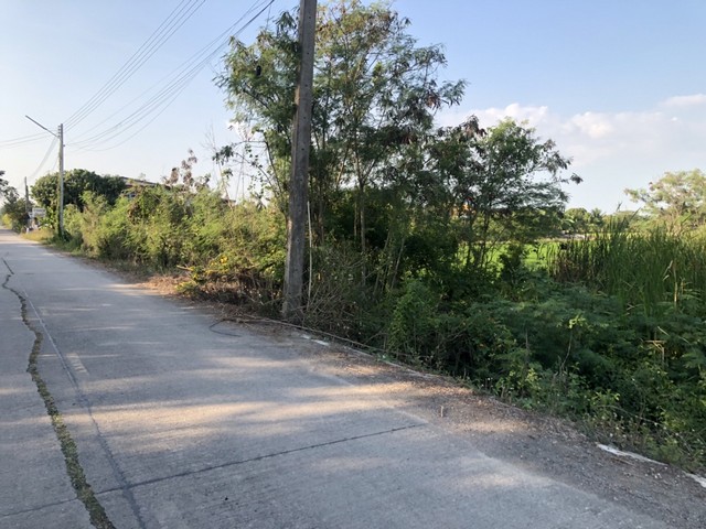 ประกาศฟรี! ซื้อ-ขาย-เช่า คอนโด บ้าน ทาวน์โฮม ที่ดิน และพื้นที่เชิงพาณิชย์ทั่วประเทศไทย ทุกทำเล ทุกงบประมาณ ไม่มีค่าใช้จ่าย ลงง่าย ขายไว เข้าถึงผู้ซื้อโดยตรง 4 7370pic3.jpg