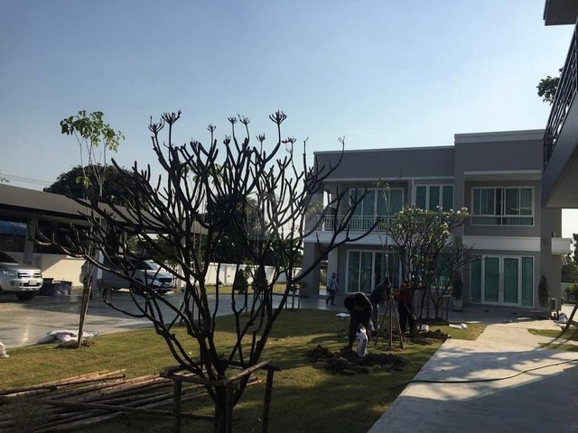 ประกาศฟรี! ซื้อ-ขาย-เช่า คอนโด บ้าน ทาวน์โฮม ที่ดิน และพื้นที่เชิงพาณิชย์ทั่วประเทศไทย ทุกทำเล ทุกงบประมาณ ไม่มีค่าใช้จ่าย ลงง่าย ขายไว เข้าถึงผู้ซื้อโดยตรง 5 481240pic4.jpg