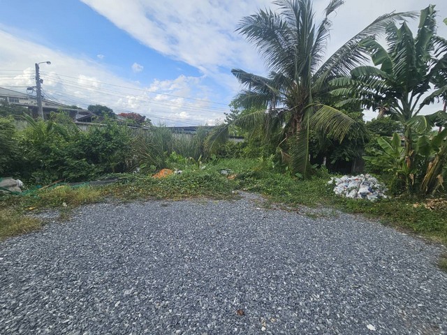 ประกาศฟรี! ซื้อ-ขาย-เช่า คอนโด บ้าน ทาวน์โฮม ที่ดิน และพื้นที่เชิงพาณิชย์ทั่วประเทศไทย ทุกทำเล ทุกงบประมาณ ไม่มีค่าใช้จ่าย ลงง่าย ขายไว เข้าถึงผู้ซื้อโดยตรง 5 279786pic4.jpg