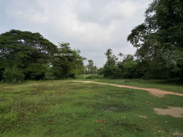 ประกาศฟรี! ซื้อ-ขาย-เช่า คอนโด บ้าน ทาวน์โฮม ที่ดิน และพื้นที่เชิงพาณิชย์ทั่วประเทศไทย ทุกทำเล ทุกงบประมาณ ไม่มีค่าใช้จ่าย ลงง่าย ขายไว เข้าถึงผู้ซื้อโดยตรง 5 6996pic4.jpg